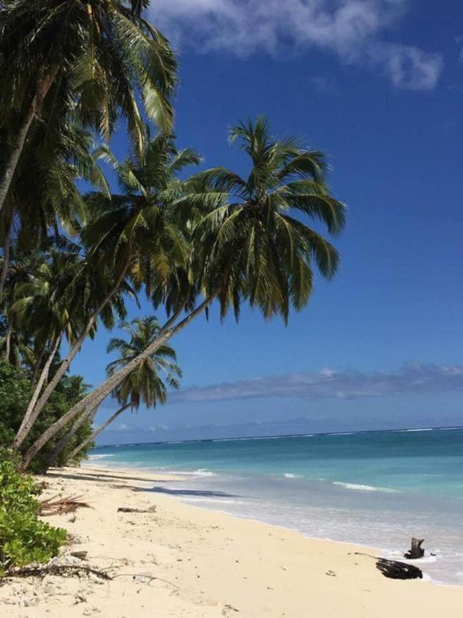 Hollow Trees Surf Katiet Mentawai Surfing Barrels Hostel Exterior photo